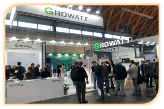 1685950024878493.png image.png