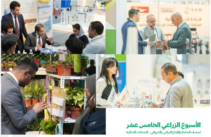 1731919355629253.png image.png