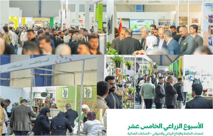 1731919369917437.png image.png