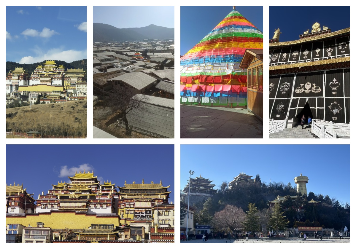 1768964585651838.jpg 香格里拉.jpg